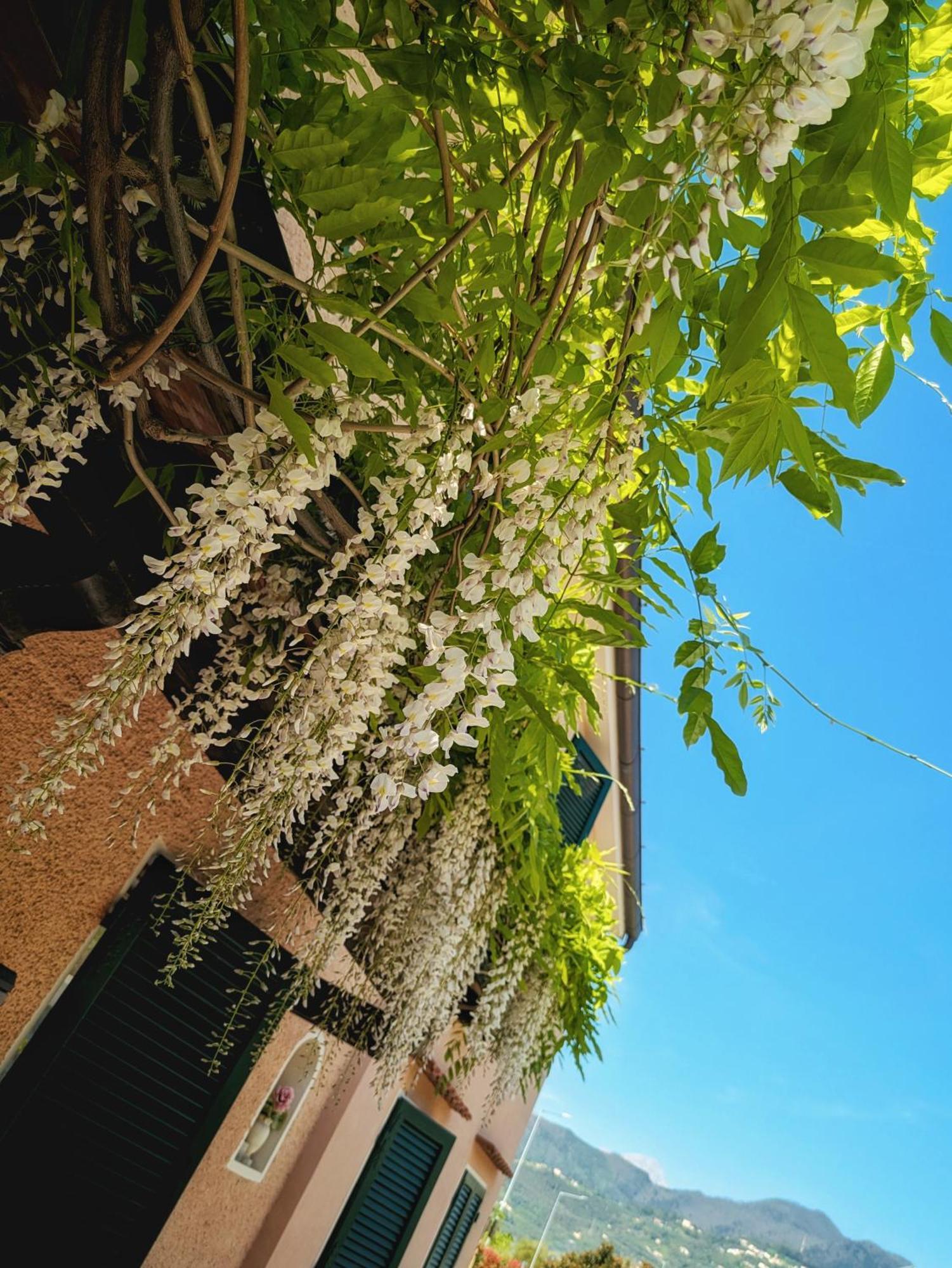 피에트라산타 La Bugneta B&B 외부 사진